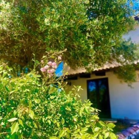 Camera Villa Sarda Aurora Elmas Exteriér fotografie